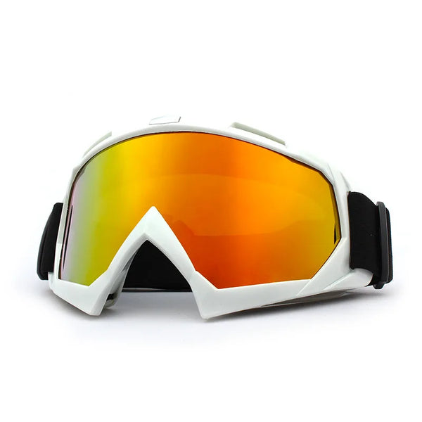 Winter Windproof Ski Goggles