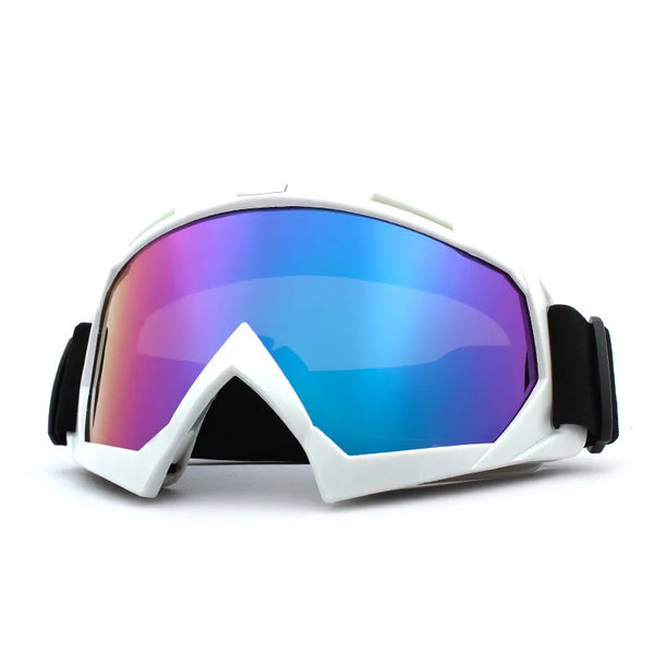 Winter Windproof Ski Goggles